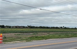 N Cesar Chavez Road, Alamo, TX 78516