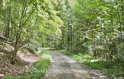 Buck Horn Fork, Bomont, WV 25030