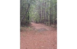 452 Tram Rd., Cades, SC 29518