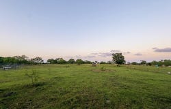 County Road 1030 E, Rice, TX 75155