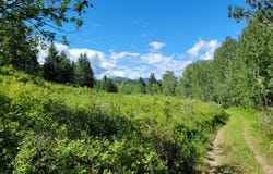 29 YELLOW BRICK Rd, CURLEW, WA 99118