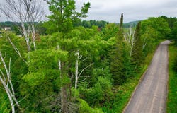 ON PAT PHALEN RD, Crandon, WI 54520