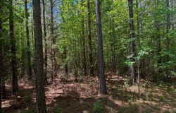 Mt Tabor Road, Keeling, VA 24566