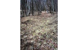 Camp Road, Weyerhaeuser, WI 54895