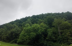 Ford Branch Road, Duffield, VA 24244