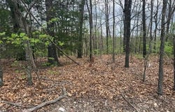 Entry Road lot: 10, Ridgedale, MO 65739