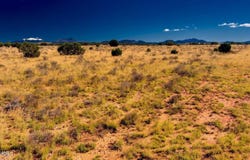 3196 Laurence Drive, Williams, AZ 86046