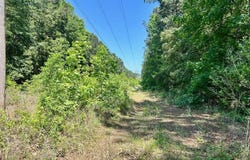 CR 4814, Bloomburg, TX 75556