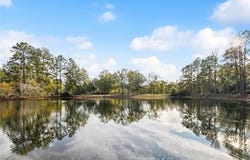 61180 DOE RUN Drive, Amite, LA 70422