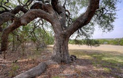 6573 Ranch Road 165, Blanco, TX 78606