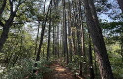 Shands Road, Evening Shade, AR 72532