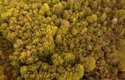 V/L Onondaga, Holt, MI 48842