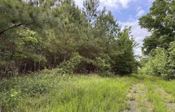 Union Road, Greenbrier, AR 72058