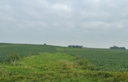 465th St - Parcel 2, Fairfax, MN 55332