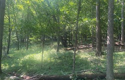 190th Street, Centuria, WI 54824