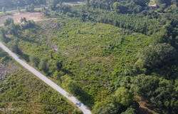 Sinclair Road, Columbia, MS 39429
