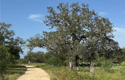 Batey Ranch Road, Nixon, TX 78140