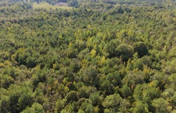 Glass Rd, Sulligent, AL 35586