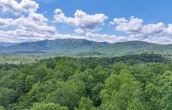 Ace Gap Rd, Townsend, TN 37882