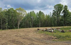 .88 Acre County Road 825, Scottsboro, AL 35768
