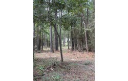 Reedy Creek, Laurel, MS 39443