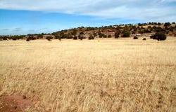 N8526 lot: 8, Concho, AZ 85924