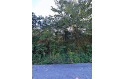 Hillsboro Drive, Galena, MO 65656