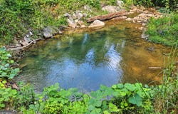 850 FERNSIDE Drive, Toccoa, GA 30577