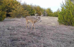 999 CR3805, Bailey, TX 75413