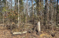 Holley Ferry Road, Leesville, SC 29070-0000