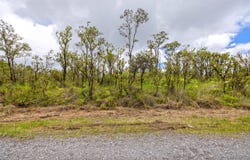 OMEKA RD, Volcano, HI 96785