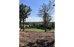 Tract 1 Williams Road, Austin, AR 72007