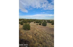19 N5232, Concho, AZ 85924