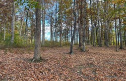 LOT 9 RAINBOW RIDGE, BUMPASS, VA 23024