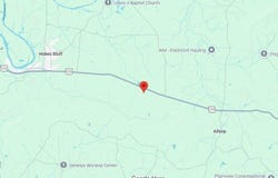 10533 US HIGHWAY 278, PIEDMONT, AL 36272