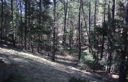 23 Rd 14, Eagle Nest, NM 87718-0000