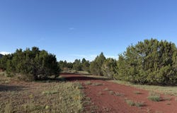 944 E Alimos Way, Williams, AZ 86046
