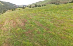 American Ridge Rd (Parcel 7), Kendrick, ID 83537
