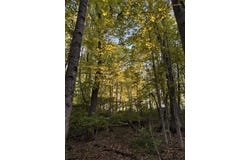 537 Fair St, Ronceverte, WV 24970