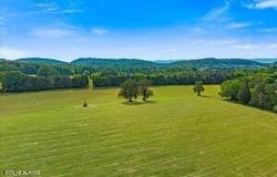 21+/- Acre County Road 675, Riceville, TN 37370
