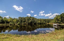 Cr 525 Wayne, Wappapello, MO 63966