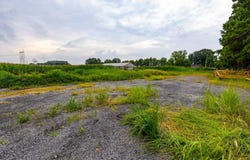 Trout Road, Dexter, KY 42036