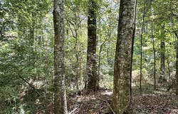 3 County Road 24, Enterprise, MS 39330