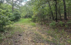 L9 B7 Buckskin Circle, Ozark Acres, AR 72482
