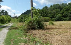 5.6ac Lonnie Reecer Rd, Celina, TN 38551