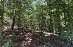 Whispering Pine Trail, Mount Vernon, TX 75457