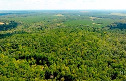 Waynesboro, GA 30830