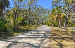 Osprey Cir, Cedar Key, FL 32625