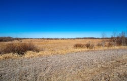 37675 395th Street, Dent, MN 56528