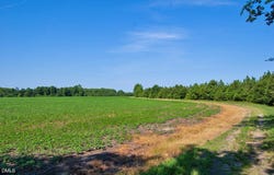 Nc Highway 33, Tarboro, NC 27886